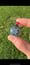 Image of Small Round flower of life pendant 