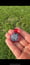 Image of Large round  flower of life pendant 