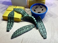Image 2 of 🪴Planty Wiggle Fidget