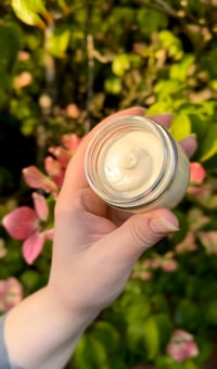 Image 3 of Whipped Tallow and Honey Balm
