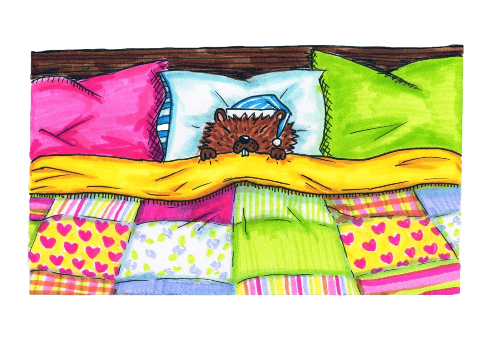 Image of Comfy Beaver Sticker