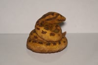 Image 3 of Little Prometheus Latex Snake