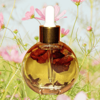  Sweet Rose Glowing Oil- 2 oz