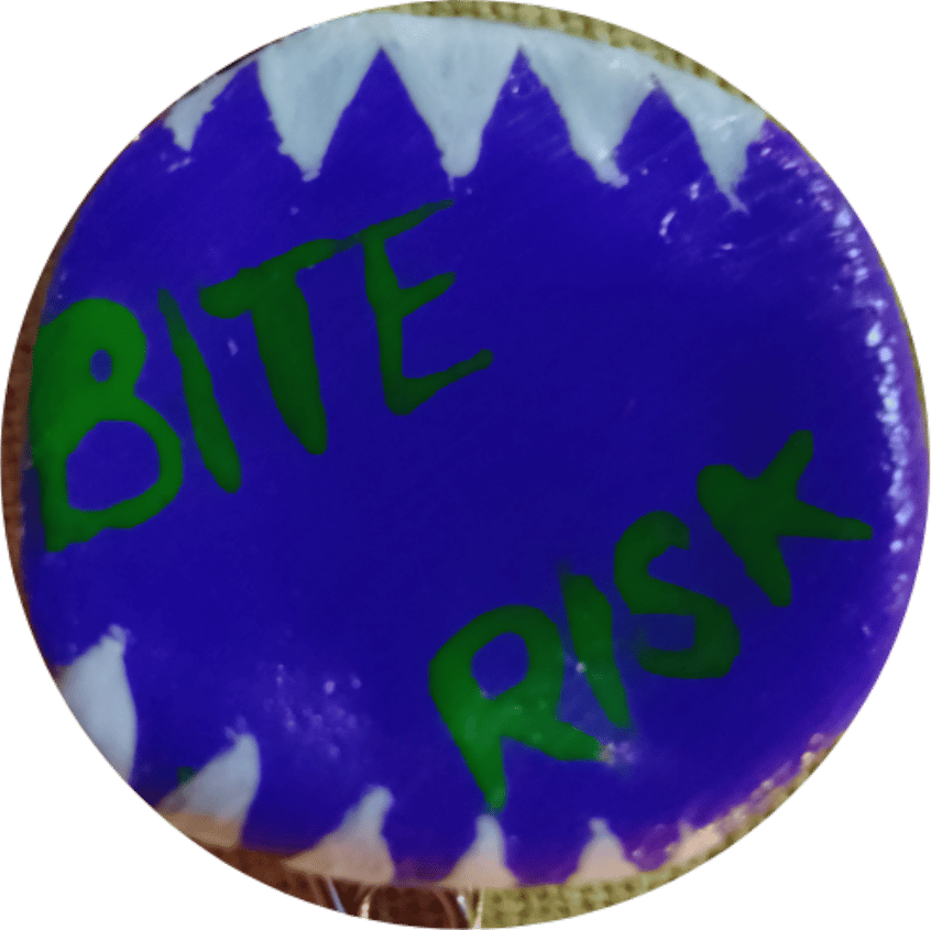 Image of Custom Patch or Pin (1-5 Words)