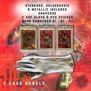 FGIAAG - 3 CARD BUNDLE / 10 ONLY