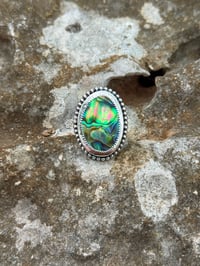 Abalone Shell Ring (7)