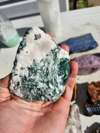 Tree Agate