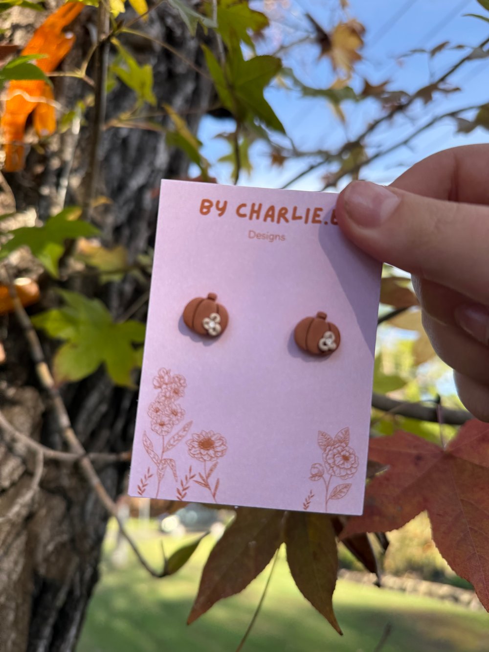 Image of pumpkin studs