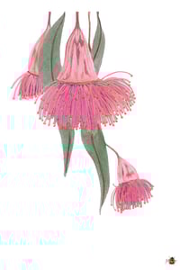 Image 1 of Botanical Postcard Pack