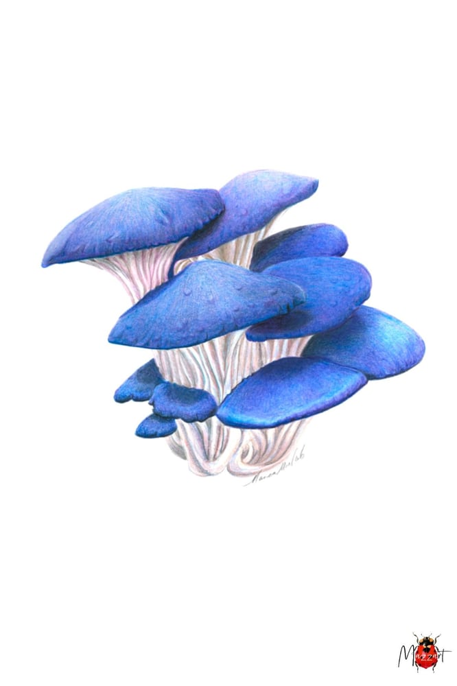 Image of Botanical Postcard Pack