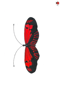 Image 1 of Insect Postcard Pack