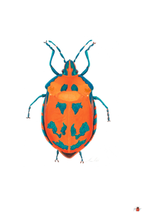 Image 7 of Insect Postcard Pack