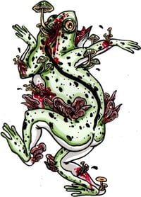 Image 2 of 5"x7" Fungi Frog Commission 