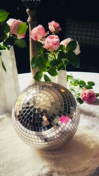 Image 3 of Boule Disco