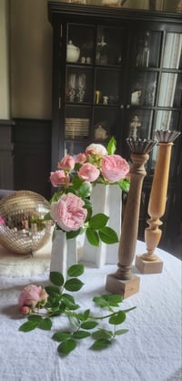 Image 3 of Vase Etoile