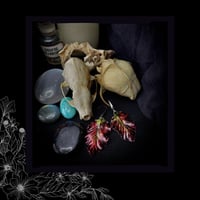 Image 3 of ☽ Fagus Purpura ☾