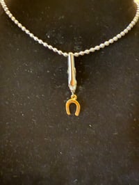 The Small Gold Horseshoe