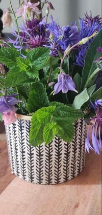 Image 3 of Cache Pots - vase 