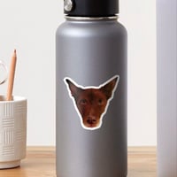 Image 1 of Red Kelpie Sticker