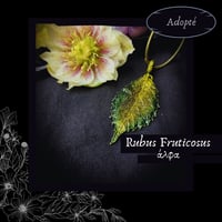 Image 4 of ☽ Rubus Fruticosus ☾