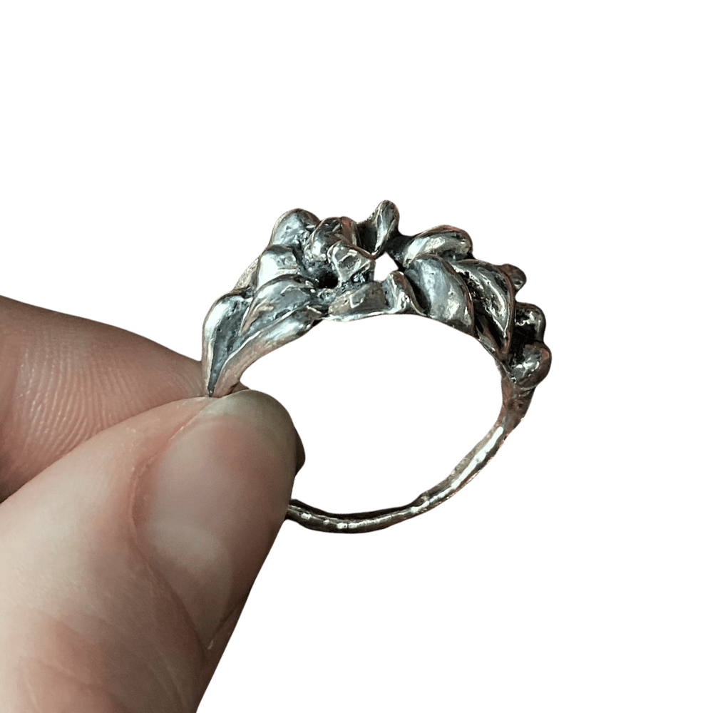 Image of Entropic Ring