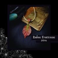 Image 1 of ☽ Rubus Fruticosus ☾