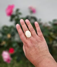 Image 3 of Bague MARIE LOUISE coquillage 