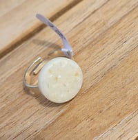 Image 1 of Bague Coquillage (ARG925)
