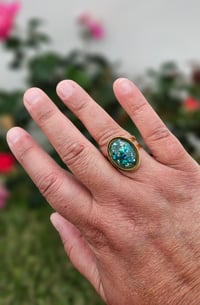 Image 5 of Bague Ormeaux (Acier)