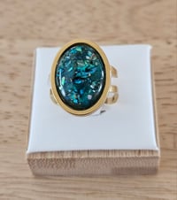 Image 1 of Bague Ormeaux (Acier)