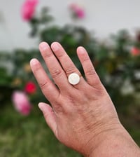 Image 4 of Bague NACRE (Acier)