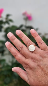 Image 5 of Bague NACRE (Acier)