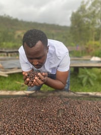 Image 3 of RWANDA | BOURBON ROUGE | NATURE