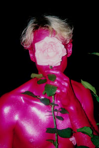 der Rosige
