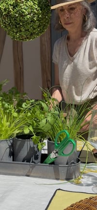 Image 1 of Ciseaux à Herbes