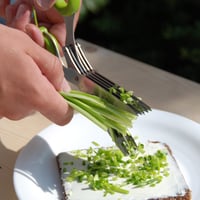 Image 3 of Ciseaux à Herbes