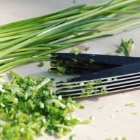 Image 4 of Ciseaux à Herbes