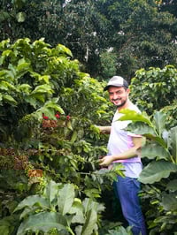 Image 2 of COLOMBIE | JAVA | NATURE