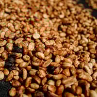 Image 3 of COLOMBIE | CATURRA | RED HONEY