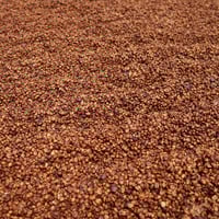 Image 4 of COLOMBIE | CATURRA | RED HONEY