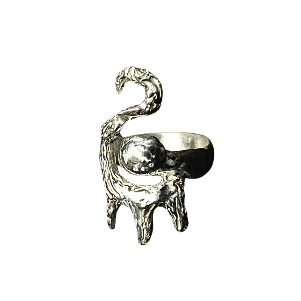Image of Custom Ring