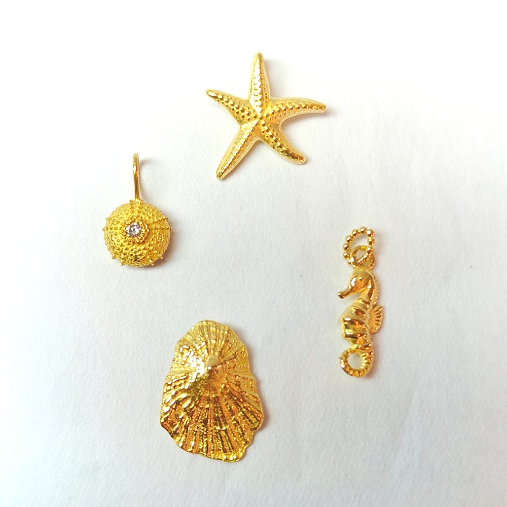 Beeld van Gifts of the ocean 