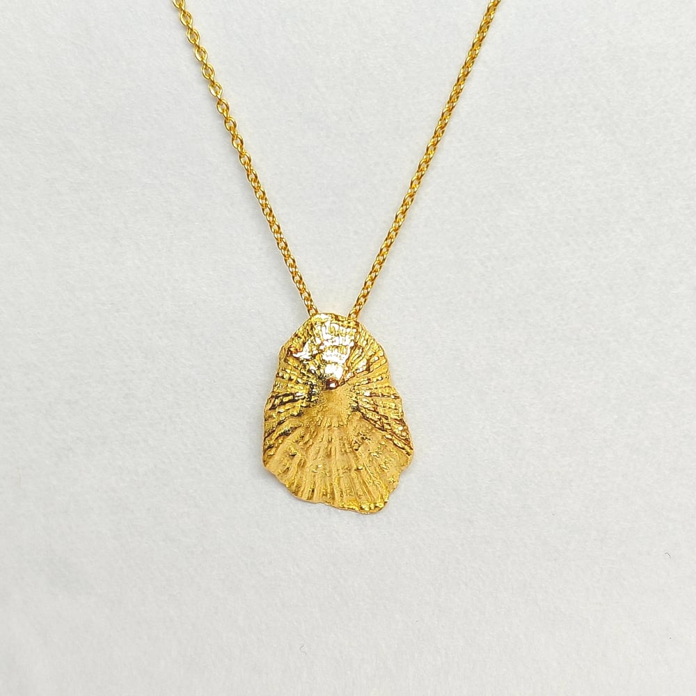 Beeld van Gifts of the ocean 