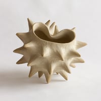Image 1 of Petite coquille blanche