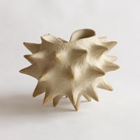 Image 2 of Petite coquille blanche
