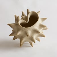Image 3 of Petite coquille blanche