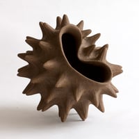 Image 1 of Coquille brune