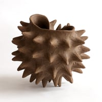 Image 2 of Coquille brune