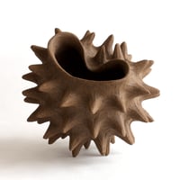 Image 3 of Coquille brune