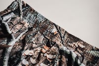 Image 4 of Big Tree camo Fight Shorts
